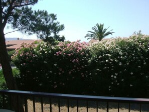 Property grounds - Casa Argentario by Interhome (Ansedonia)
