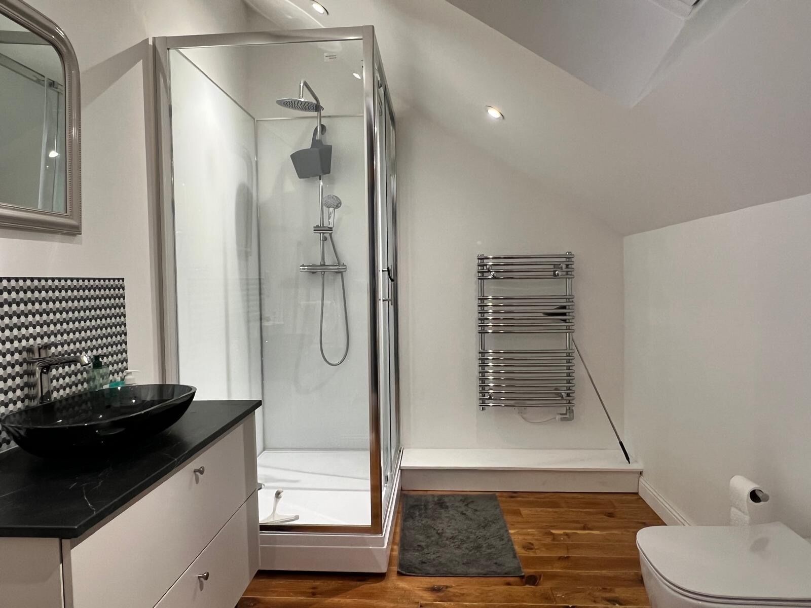 Shower, hair dryer, bidet, towels