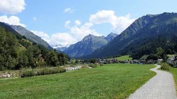 Un paysage rural avec un chemin de gravier, des champs verdoyants et des montagnes en arrière-plan.