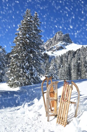 Snow and ski sports - Bündalodge 1015 4-Zimmerwohnung by Interhome (Davos)