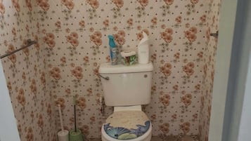 SĂšche-cheveux, serviettes fournies, savon, papier toilette
