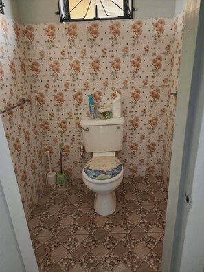 Sèche-cheveux, serviettes fournies, savon, papier toilette
