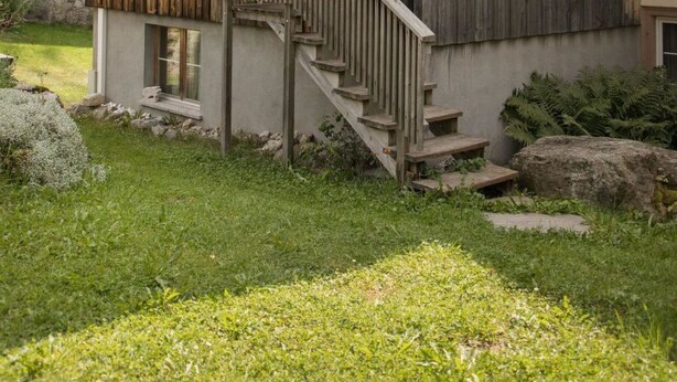 Un edificio in legno con una scala che conduce a un balcone, immerso nel verde.
