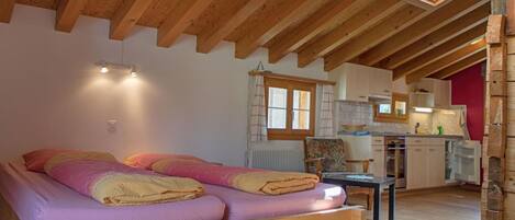 1 bedroom, internet