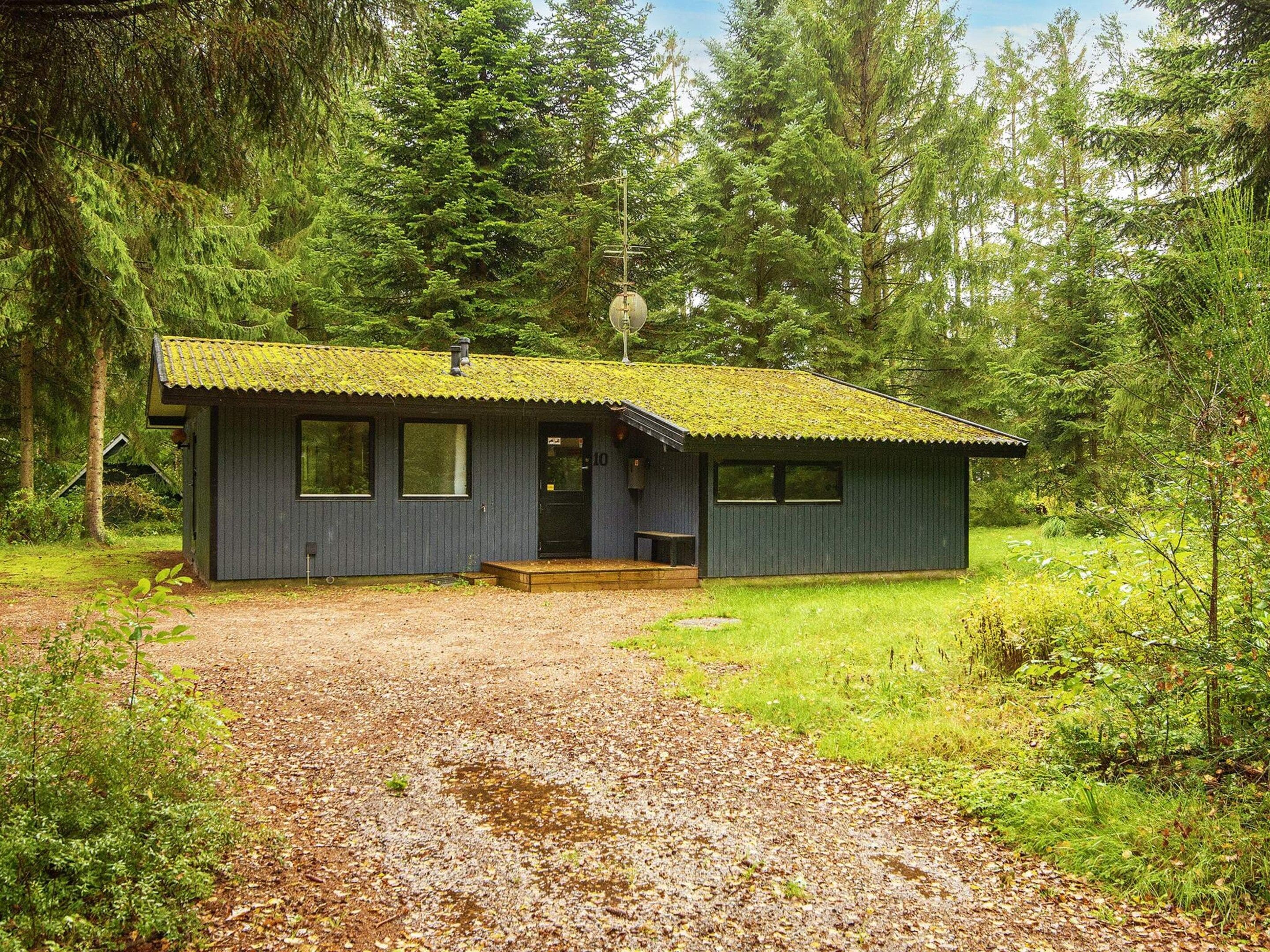 Eine kleine Holzhütte mit Kopfsteinpflaster-Zuwegung, umgeben von dichtem Wald.