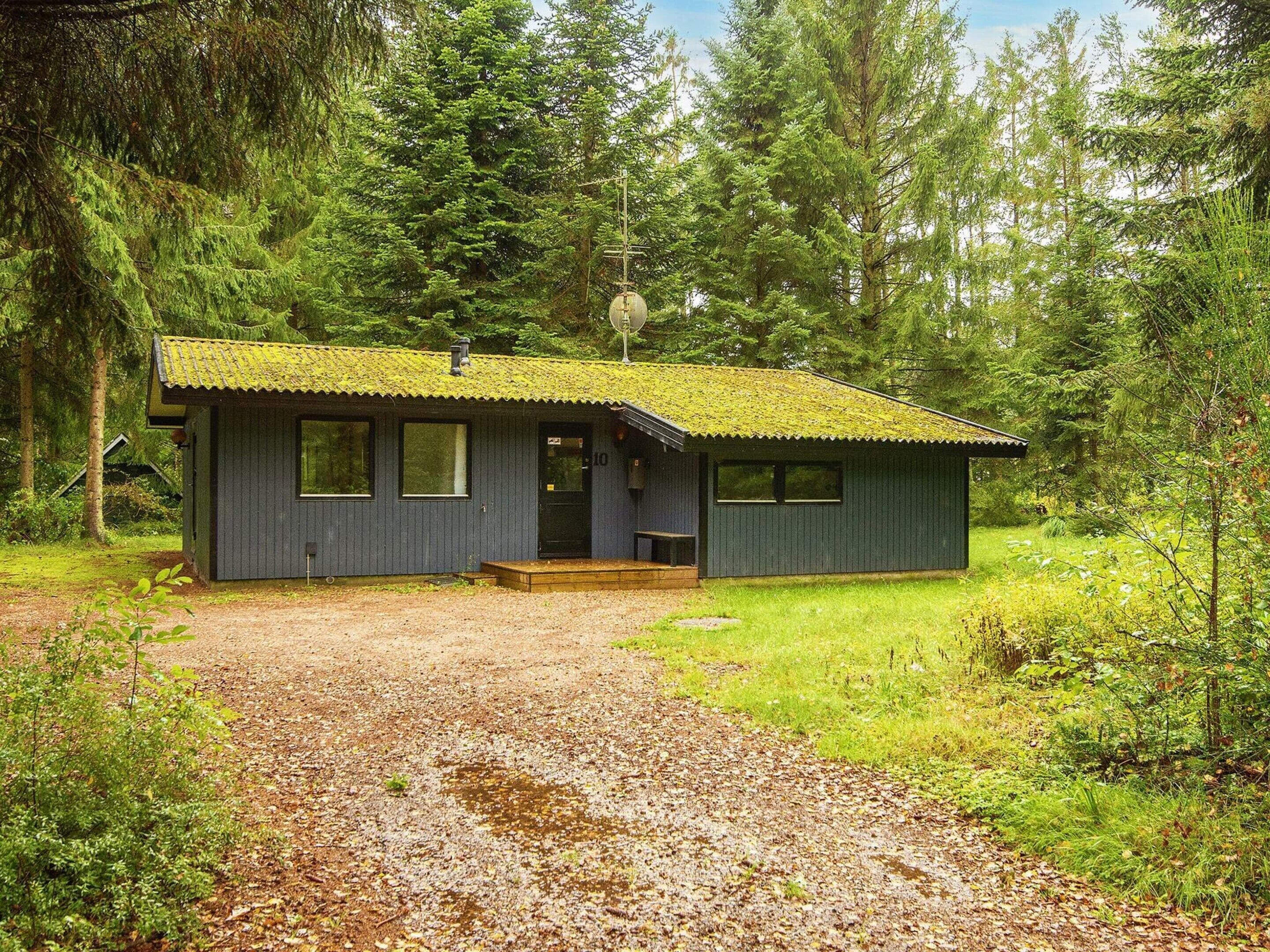 A small cabin with a gravel driveway, surrounded by dense forest.