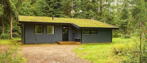 Una cabaña pequeña con entrada de grava, rodeada de un bosque denso.