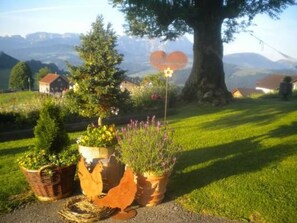 Property grounds - "Hüttli" neben dem Bauernhof Fendrig by Interhome (Schlatt - Haslen)
