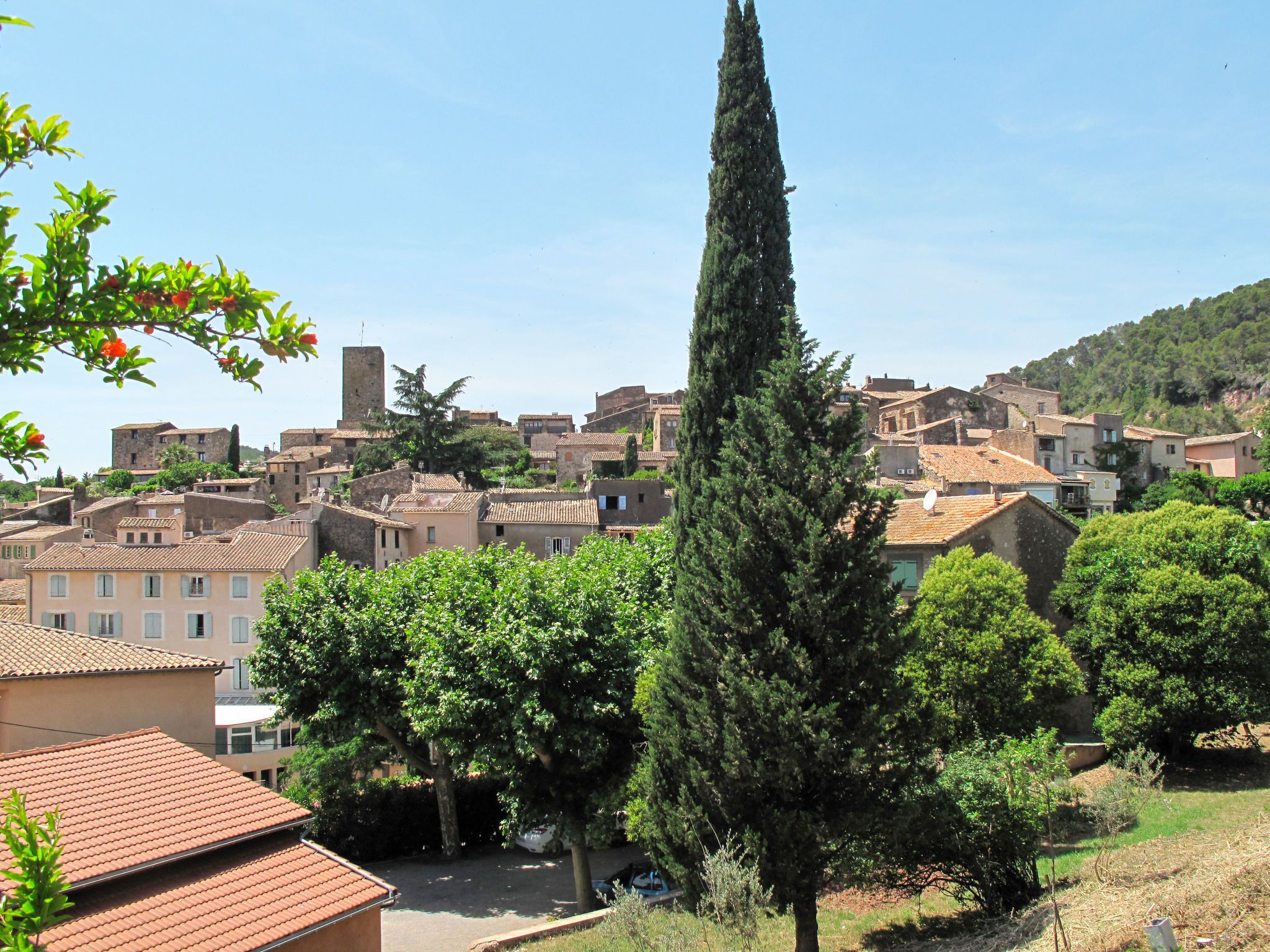 A town with historic buildings, a prominent tall tree, and a clear sky.