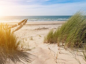 A sandy beach path leading to the ocean with dunes and grasses. - Pleinzicht 6c by Interhome (Koudekerke)