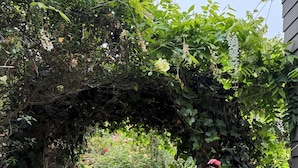A wooden gate with a vine-covered archway leading to a garden area with various plants and a stone wall.