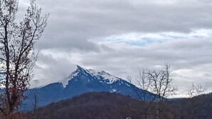 A mountain with snow-capped peaks, a cloudy sky, and leafless trees. - Mobi The Man. (Couret)