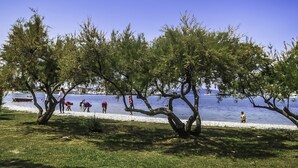 Un parc au bord du lac, avec des arbres et des gens qui se promènent près de l’eau.