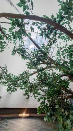 Interior - The Garden Apt @ Old San Juan for 4 Guest (San juan de Puerto Rico)