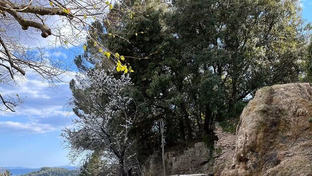 A wooden deck with a yellow folding chair, a stone wall, and a view of a natural landscape with trees and a body of water. - Bastide Saint-Martin (Cotignac)