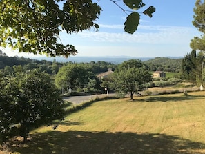 Eine ländliche Landschaft mit einer klaren Straße, Bäumen und einem Gebäude in der Ferne.