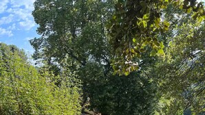 A tranquil outdoor pool area surrounded by lush greenery and trees. - Bastide Saint-Martin (Cotignac)