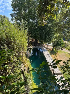 Ein ruhiger Poolbereich im Freien, umgeben von üppigem Grün und Bäumen.