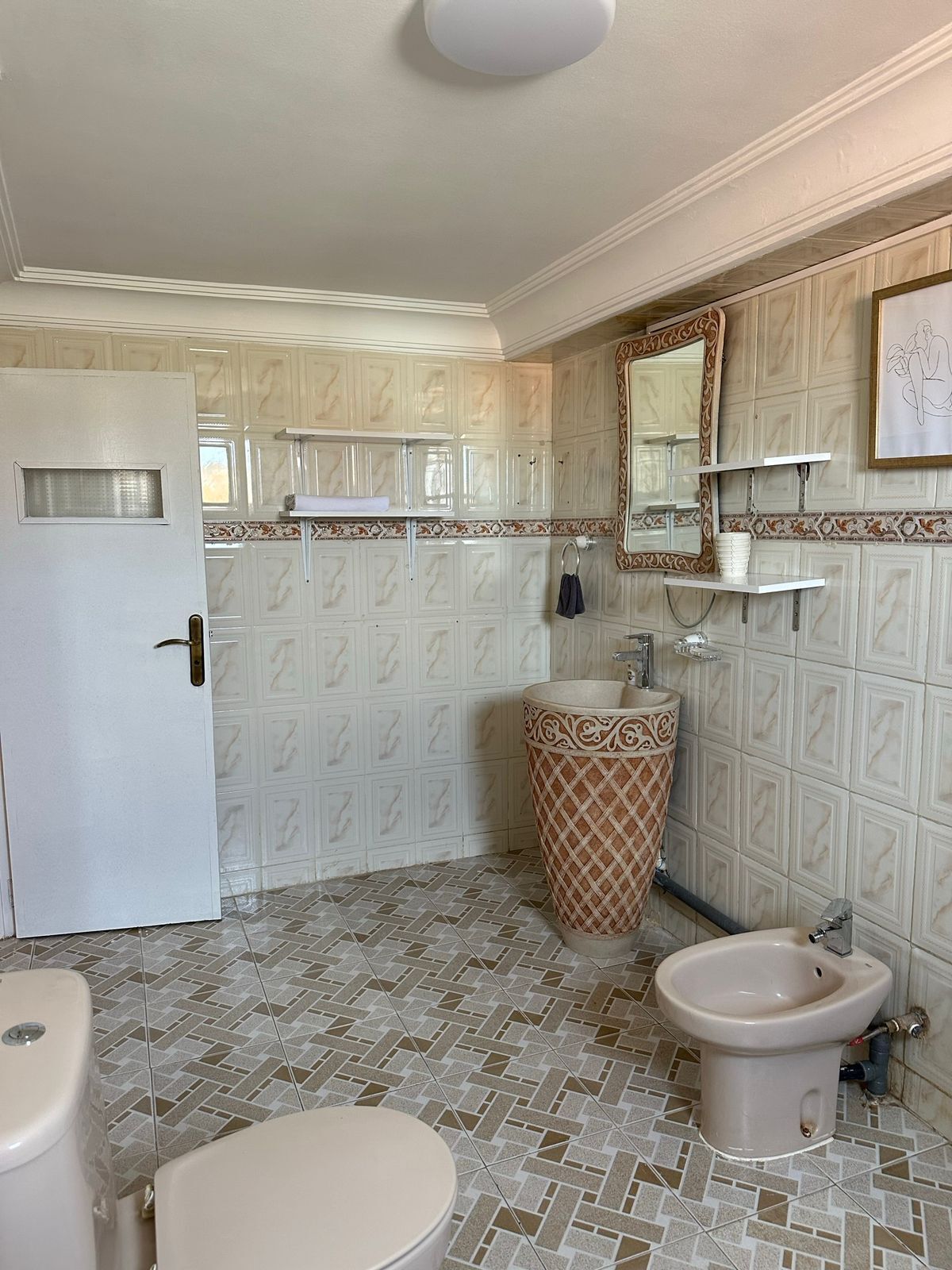 Shower, hair dryer, bidet, towels