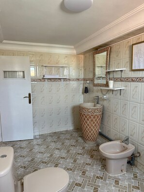 Shower, hair dryer, bidet, towels