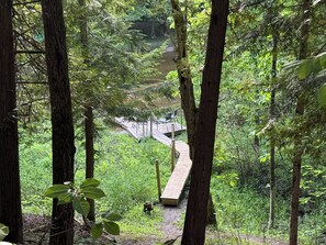 A forested area with a wooden bridge leading to a deck with chairs.