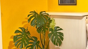 Una stanza con una parete gialla, un termosifone bianco, una pianta di monstera in vaso e un ritratto incorniciato.