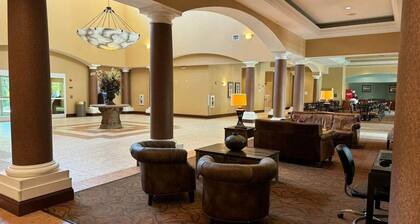 510 - Oasis in Disney world