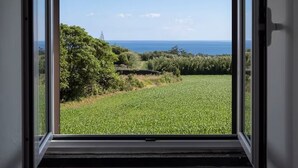 A window with an open view of a green field and trees, a clear sky, and a distant horizon.
