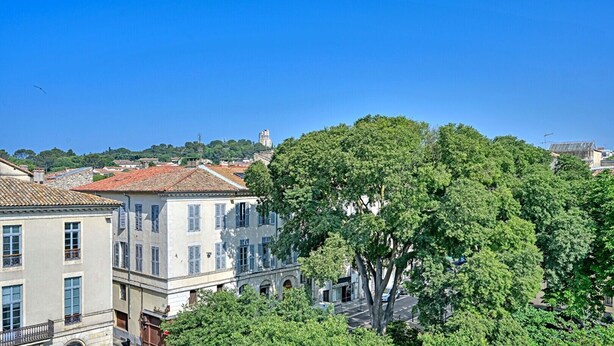 Un edifici amb teulada de rajola, grans finestres i un arbre al davant.