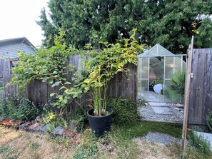 Property grounds - ARTful RV on 1/2 acre in nature, but near city; Lumen field, Fort Dent, SeTac (Tukwila)