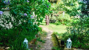 Un sentier de jardin menant à un banc en bois, entouré d’une végétation luxuriante et de deux lanternes.