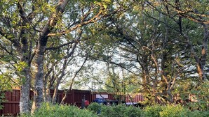 A paved pathway surrounded by dense greenery and trees. - Cosy apartment in a quiet neighborhood, close to beautiful nature. (Kópavogur)