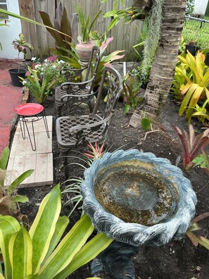 A garden with various plants, a metal chair, and a red plate on a wooden stand. - Cozy Miramar 1 Bedroom with POOL for vacation, travel nurse short, longterm rent (Miramar)