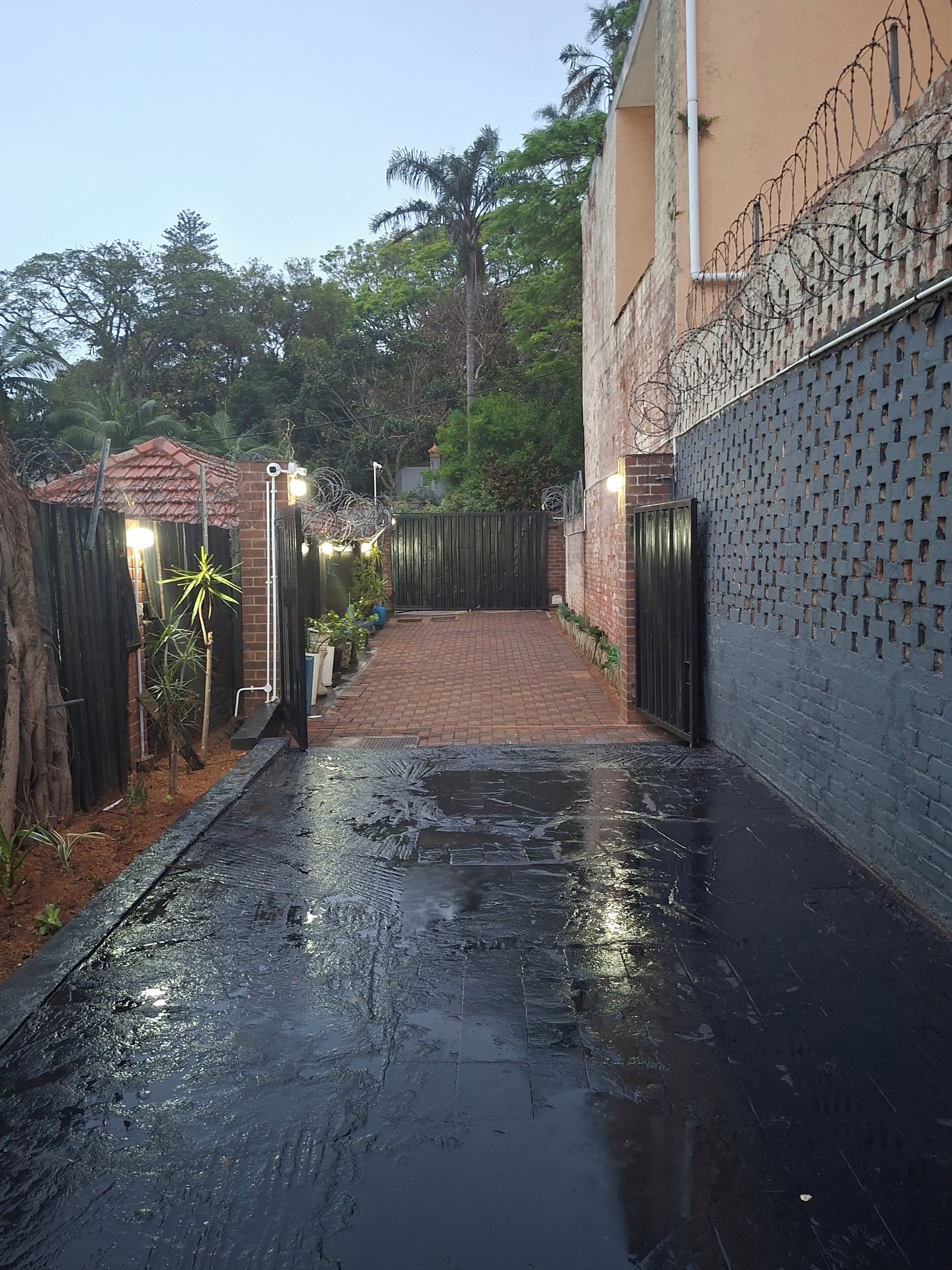 A wet alleyway with a brick wall, a metal gate, and a tree-lined path.