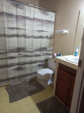 Shower, towels, soap, toilet paper - Fabulous 1-bedroom apartment with AC in Saint Michael (Saint Michael)