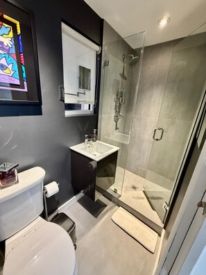 Shower, soap - Coconut Grove Fashion Loft · Pool & Backyard · Walkable (Miami)