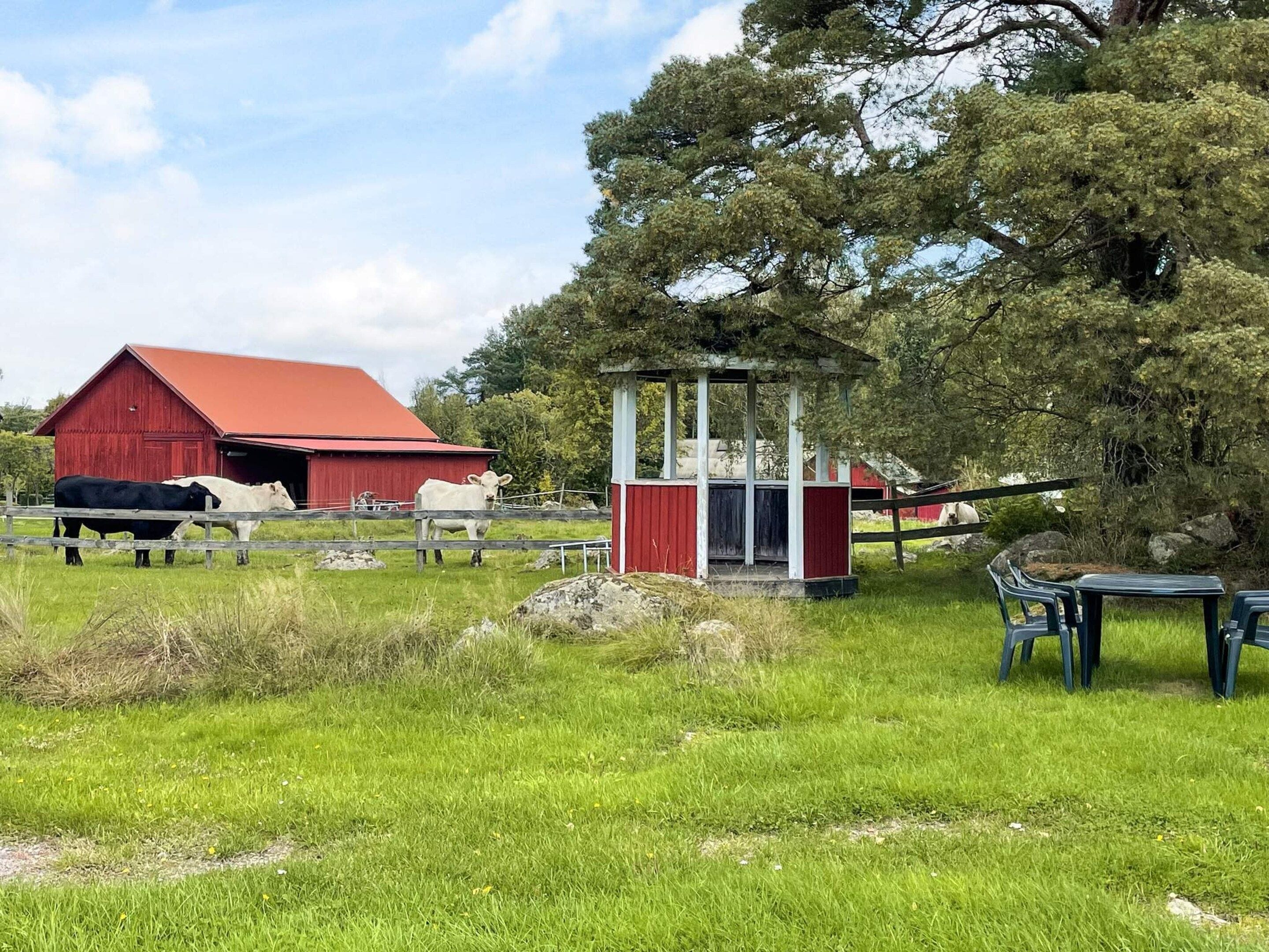 Et rødt ladehus, en hvid ko, en lille pavillon og et picnicbord i en græsmark.