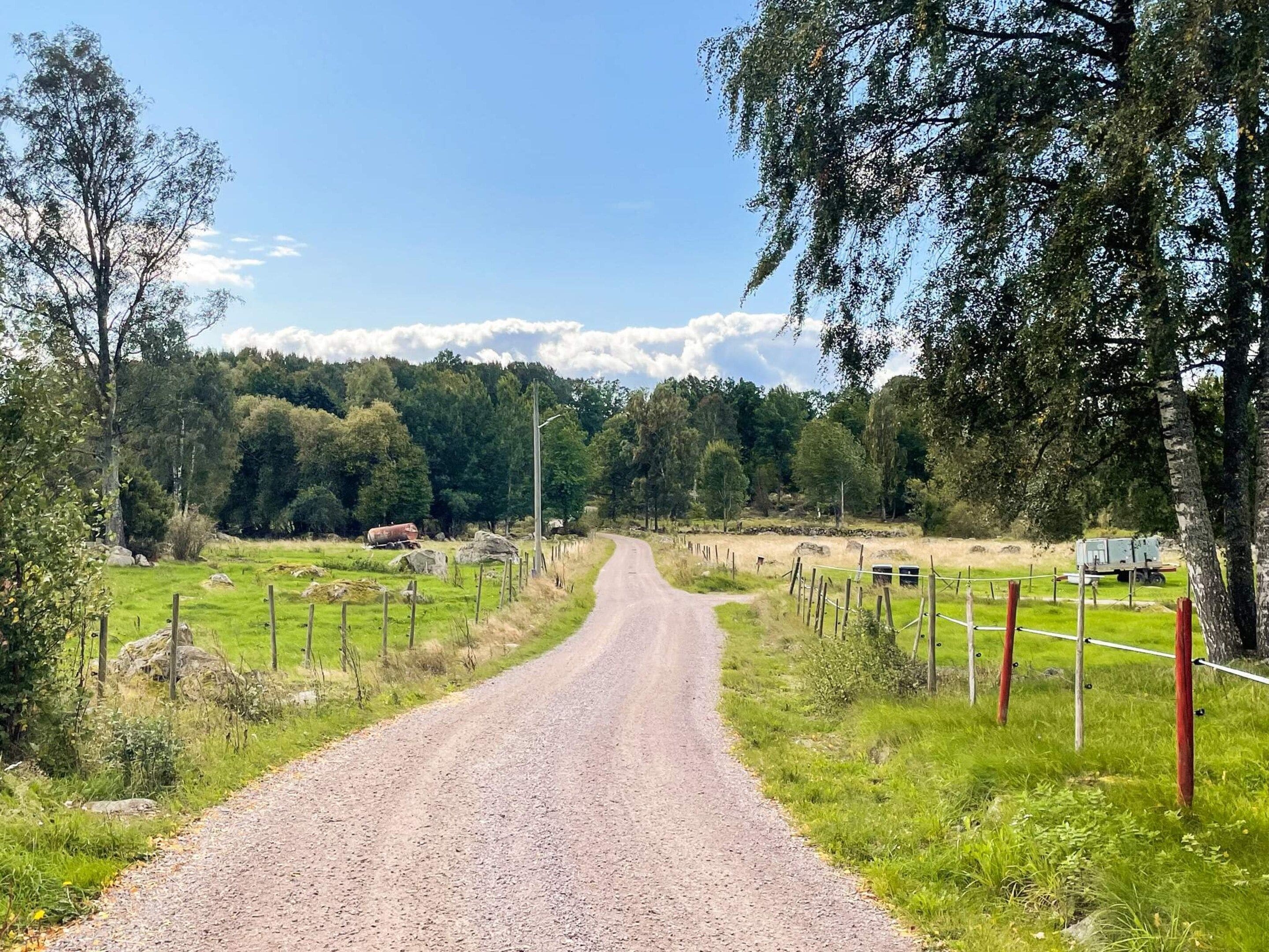A rural road flanked by greenery and a fence.