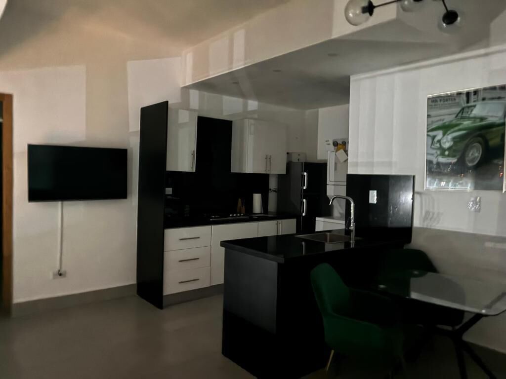 Apartment, Balcony, City View | Private kitchen