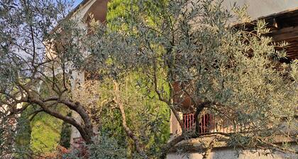 Nice T2 in quiet residence with trees, near thermal baths