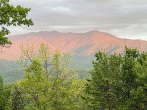 Eine gebirgige Landschaft mit dichtem Wald im Vordergrund.