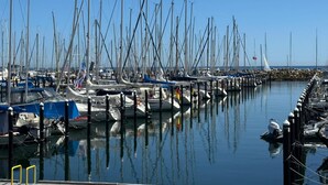 A marina with numerous boats docked, calm water, and a clear sky. - Close to the beach, quiet, sunset balcony and free parking with barrier. (Kiel)