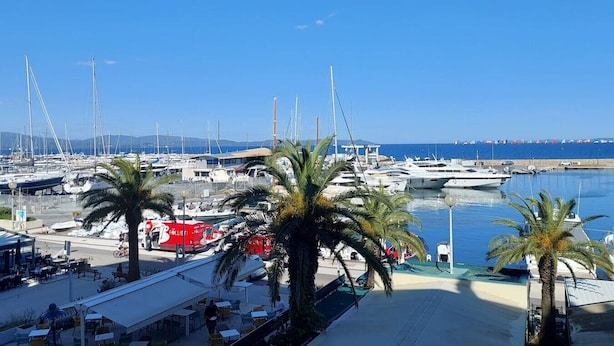 Un puerto deportivo con barcos, palmeras y un cielo azul despejado.