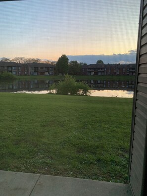 Property grounds - Cozy 1-bedroom apartment with AC in marvelous Indianapolis (Indianapolis)