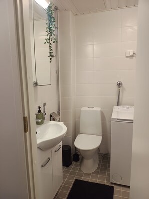 Dusche, Haartrockner, Bidet, Handtücher