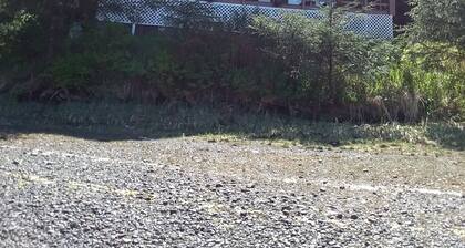Klawock, a small drinking village with a big FISHING problem!