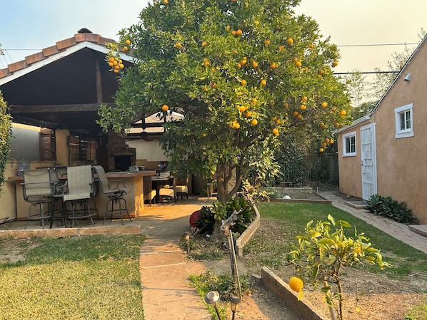 Un patio trasero con zona de barbacoa, un árbol frutal y un pequeño jardín.