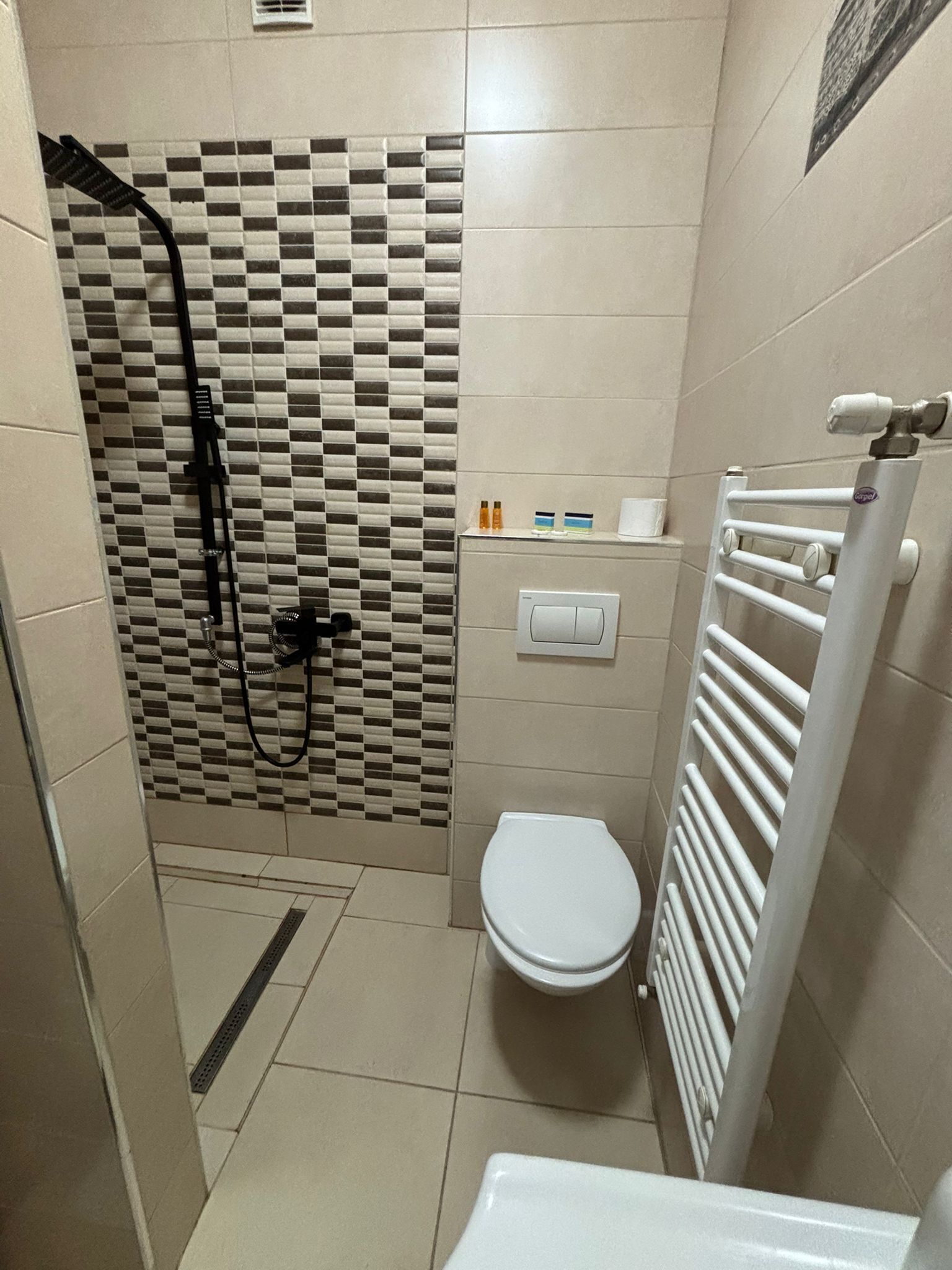 Luxury Studio, Mountain View | Bathroom | Shower, hair dryer, towels, soap
