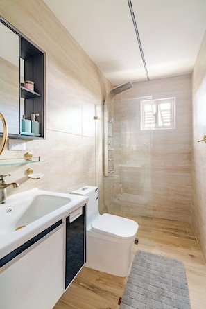 Hair dryer, towels, soap, toilet paper