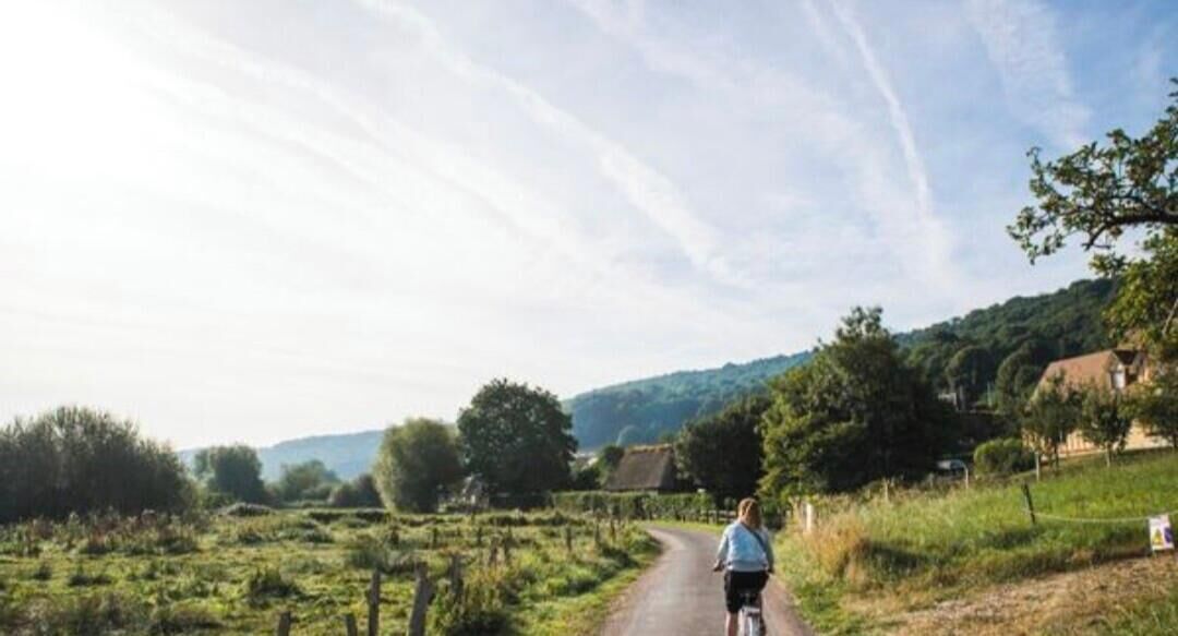 A rural landscape with a road, greenery, and a person riding a bicycle.